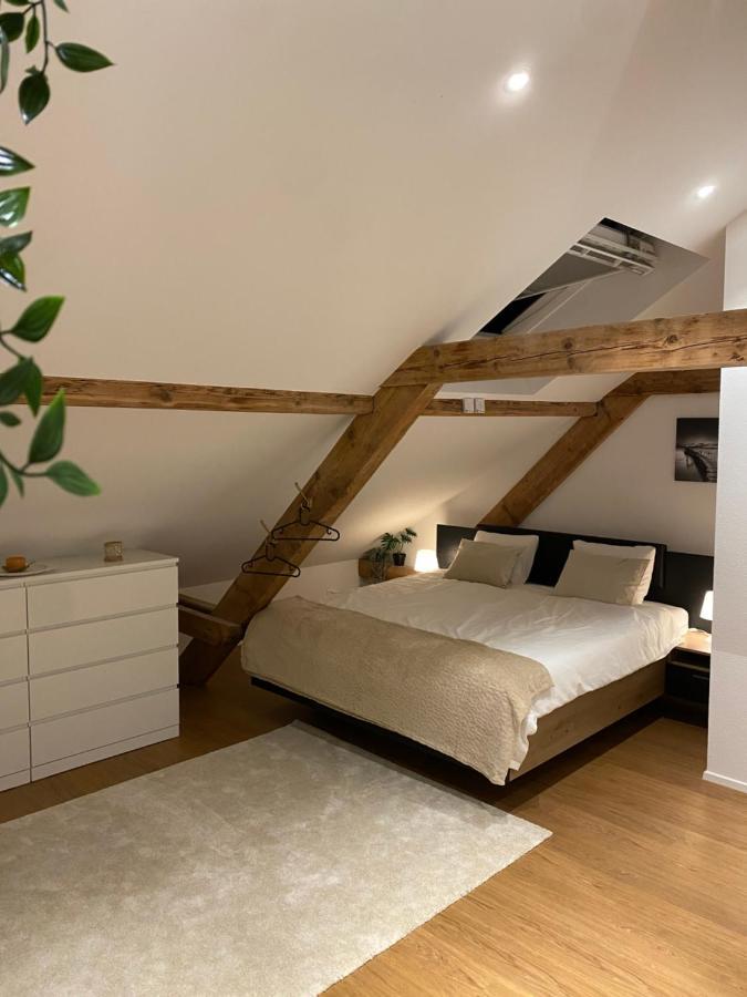Eine Schoene Wohnung An Der Birs Basilej Exteriér fotografie